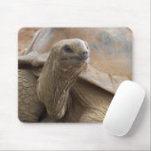 Seychelle Aldabran Landschildkröte Mousepad (Mit Mouse)