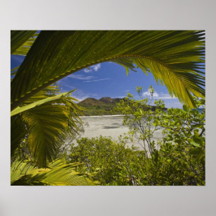 Seychellen, Curieuse-Insel, Laraie-Bucht Poster