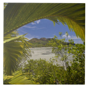 Seychellen, Curieuse Island, Laraie Bay Fliese