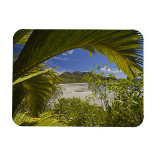 Seychellen, Curieuse Island, Laraie Bay Magnet
