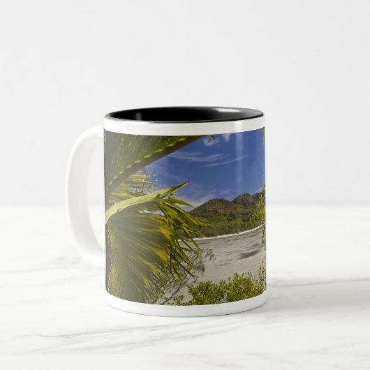 Seychellen, Curieuse Island, Laraie Bay Zweifarbige Tasse (Vorderseite Links)
