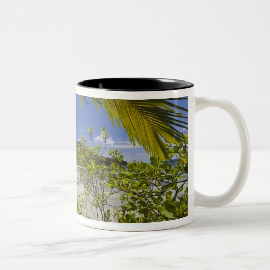 Seychellen, Curieuse Island, Laraie Bay Zweifarbige Tasse (Rechts)
