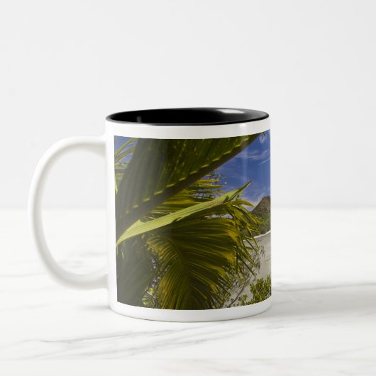 Seychellen, Curieuse Island, Laraie Bay Zweifarbige Tasse (Links)