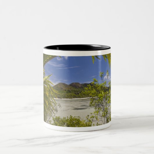 Seychellen, Curieuse Island, Laraie Bay Zweifarbige Tasse (Mittel)