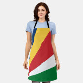 Seychellen-Flagge Schürze (Getragen)