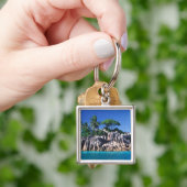 Seychellen. Ilot St. Pierre (in der Nähe von Prasl Schlüsselanhänger (Hand)