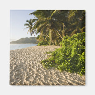 Seychellen, Insel Mahe, Anse Marie-Louise Magnet