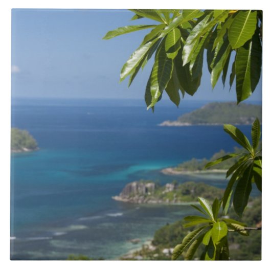 Seychellen, Insel Mahe. Western Fliese (Vorderseite)