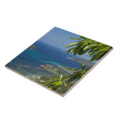 Seychellen, Insel Mahe. Western Fliese (Seite)