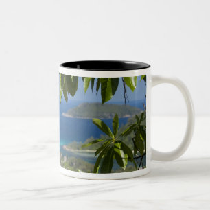 Seychellen, Insel Mahe. Westküste von Zweifarbige Tasse