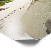 Seychellen, La Digue Island, L'Gewerkschaft Anwese Fotodruck (Ecke)