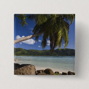 Seychellen, Mahe-Insel, Anse a la Mouche Button