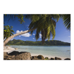 Seychellen, Mahe-Insel, Anse a la Mouche Fotodruck