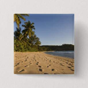 Seychellen, Mahe-Insel, Anse Takamaka Strand, 2 Button