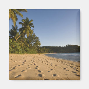 Seychellen, Mahe-Insel, Anse Takamaka Strand, 2 Magnet