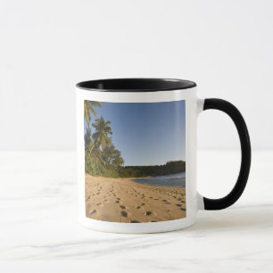 Seychellen, Mahe-Insel, Anse Takamaka Strand, 2 Tasse