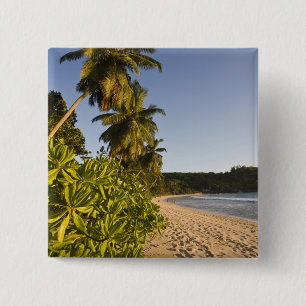 Seychellen, Mahe-Insel, Anse Takamaka-Strand, Button
