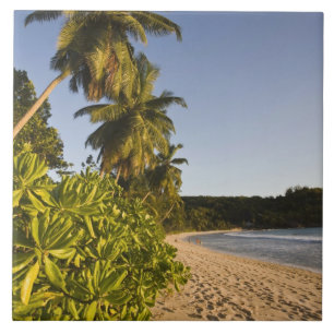 Seychellen, Mahe-Insel, Anse Takamaka-Strand, Fliese