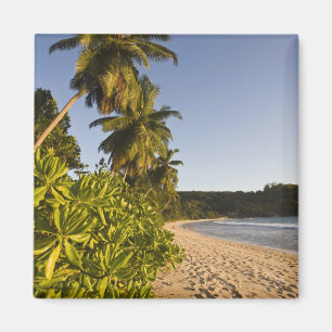 Seychellen, Mahe-Insel, Anse Takamaka-Strand, Magnet