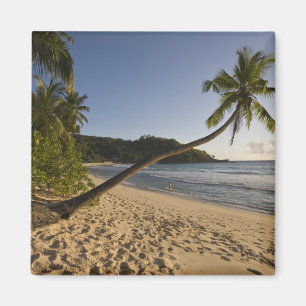 Seychellen, Mahe-Insel, Anse Takamaka Strand, Magnet