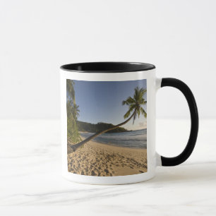 Seychellen, Mahe-Insel, Anse Takamaka Strand, Tasse
