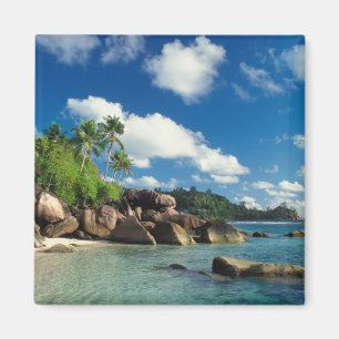 Seychellen, Mahe-Insel, Lazare Bay Magnet