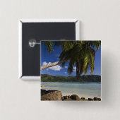 Seychellen, Mahe Island, Anse a la Mouche Button (Vorne & Hinten)