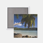 Seychellen, Mahe Island, Anse a la Mouche Magnet (Vorderseite/Rückseite)