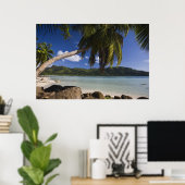 Seychellen, Mahe Island, Anse a la Mouche Poster (Heimbüro)