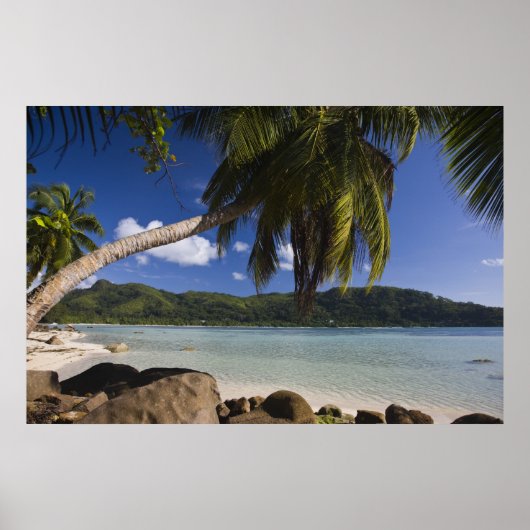 Seychellen, Mahe Island, Anse a la Mouche Poster (Vorne)