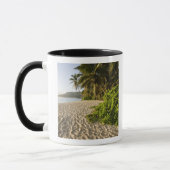 Seychellen, Mahe Island, Anse Marie-Louise Tasse (Links)