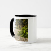 Seychellen, Mahe Island, Anse Marie-Louise Tasse (Vorderseite Links)