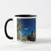 Seychellen, Mahe Island, Anse Royale Beach. Tasse (Links)