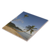 Seychellen, Mahe Island, horizontale Palme, Fliese (Seite)