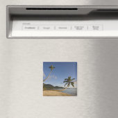 Seychellen, Mahe Island, horizontale Palme, Magnet (In Situ (Geschirrspüler))