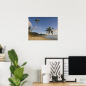 Seychellen, Mahe Island, horizontale Palme, Poster (Heimbüro)