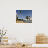 Seychellen, Mahe Island, horizontale Palme, Poster (Küche)