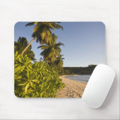 Seychellen, Mahe Island, Strand Anse Takamaka, Mousepad (Mit Mouse)