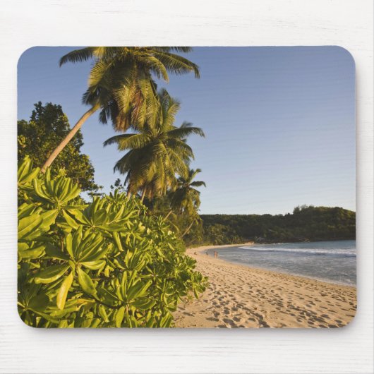 Seychellen, Mahe Island, Strand Anse Takamaka, Mousepad (Vorne)