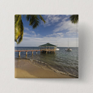 Seychellen, Praslin-Insel, Anse Bois de Rose, Button
