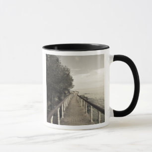 Seychellen, Praslin-Insel, Anse Bois de Rose, Tasse