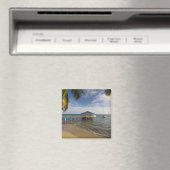 Seychellen, Praslin Island, Anse Bois de Rose, Magnet (In Situ (Geschirrspüler))