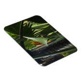 Seychellen, Praslin, Mai-Tal, starker Regen Magnet (Rechte Seite)