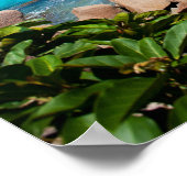 Seychellen. Steinküste Poster (Ecke)