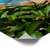 Seychellen. Steinküste Poster (Ecke)