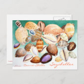 Seychelles Cowrie-Muscheln Postkarte (Vorne/Hinten)