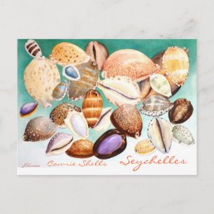 Seychelles Cowrie-Muscheln Postkarte