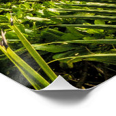 Seychelles La Digue Sunset Beach Holiday Souvenir Poster (Ecke)