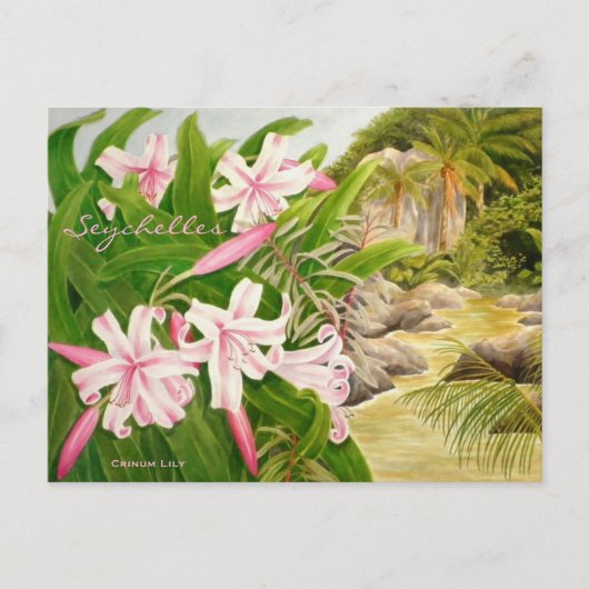 Seychelles Lily Postkarte (Vorderseite)