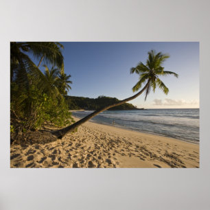 Seychelles, Mahe Island, Anse Takamaka beach, Poster